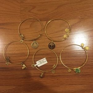 5 Alex And Ani Retired Gold Bangles